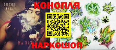 спиды Можга