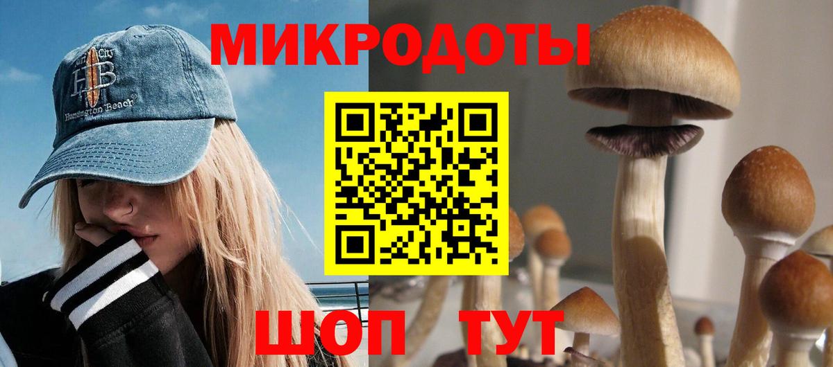 Псилоцибиновые грибы мухоморы Орехово-Зуево