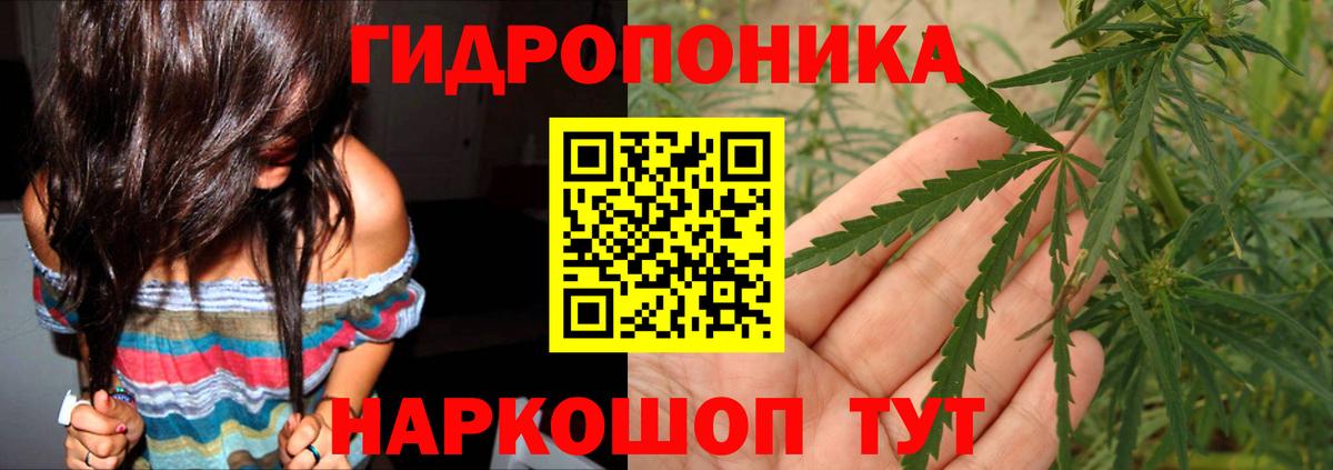 Конопля ГИДРОПОН  Вход с VPN  Орехово-Зуево  Конопля Ganja 